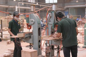 Tăng cường sự tham gia của doanh nghiệp trong cải cách thể chế