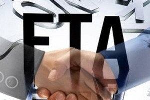 Hiệp định FTA gồm một số nội dung chính về đầu tư, thương mại, sở hữu trí tuệ, quy tắc xuất xứ hàng hóa,.. (Ảnh Internet)