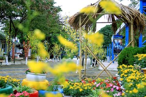 Nhiều chương trình nghệ thuật, giải trí dịp Tết Đinh Dậu tại Công viên Hồ Tây