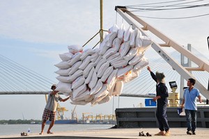 Thương nhân Việt Nam đã trúng 6 trên 8 lô thầu xuất khẩu gạo vào Philippines