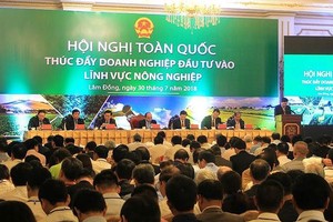 Nhận diện 10 khó khăn trong thúc đẩy đầu tư vào nông nghiệp