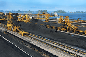 Đấu giá Vinacominland: Lượng đăng ký mua gấp 1,7 lần lượng chào bán