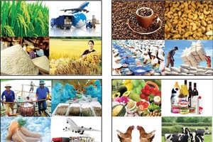 Doanh nghiệp Việt Nam sẽ được hưởng các ưu đãi CPTPP từ ngày 14/1/2019