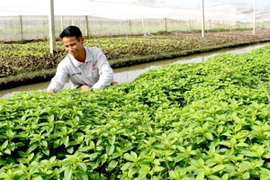 Đã tổng kết được một số mô hình thành công trong ứng phó biến đổi khí hậu tại đồng bằng sông Cửu Long