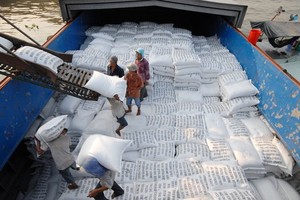 Thủ tướng Chính phủ yêu cầu thanh tra việc chấp hành quy định về xuất khẩu gạo