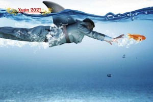 Doanh nghiệp địa ốc gom cổ phiếu, săn quỹ đất