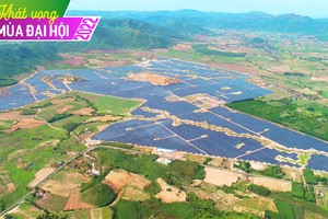 Năng lượng Bất động sản Trường Thành (TEG): Cổ đông khóc ròng vì bị “om” vốn