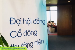 Đại hội đồng cổ đông: Đừng “đóng hộp” chính mình
