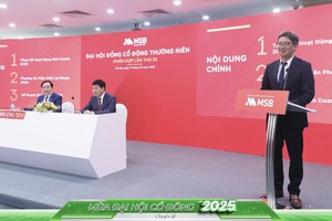 Năm 2025, MSB đặt mục tiêu đạt lợi nhuận trước thuế 8.000 tỷ đồng