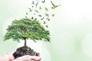 Nâng tầm doanh nghiệp niêm yết là yếu tố để nâng hạng TTCK