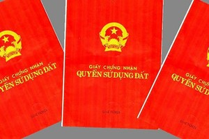 Đà Nẵng: Đình chỉ công tác Giám đốc Chi nhánh Văn phòng đăng ký đất đai quận Sơn Trà