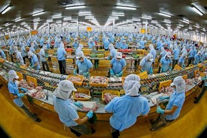 Kịch bản kém vui của nền kinh tế năm 2020 cần trở thành động lực để chúng ta nỗ lực vượt lên.