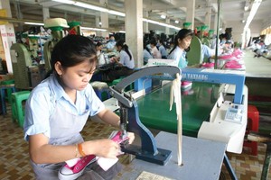 Nhiều doanh nghiệp đã tận dụng được ưu đãi thuế quan để gia tăng xuất khẩu vào EU.