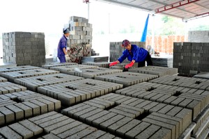 Các tỉnh, thành phố bắt đầu triển khai thực hiện Chiến lược phát triển vật liệu xây dựng Việt Nam thời kỳ 2021 - 2030, định hướng đến năm 2050