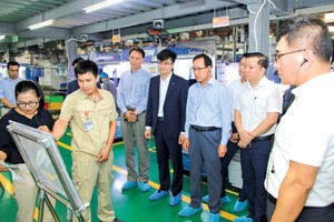 Nhiều địa phương coi trọng đại bàng ngoại mà quên đi đàn rồng Việt