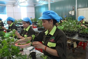 Nafoods Group là doanh nghiệp ngành nông nghiệp