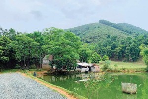 Thời gian gần đây, nhiều người lại có xu hướng về Ba Vì mua đất để làm trang trại.