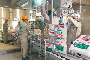 Bóc tách chuyện Hóa chất Đức Giang (DGC) sống nhờ… nguồn sữa của con