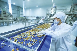 Tính chung 9 tháng, cả nước có gần 99.000 doanh nghiệp đăng ký thành lập mới, giảm 3,2% so với cùng kỳ năm 2019.