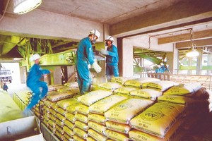 Ngành xi măng đang dư cung mỗi năm khoảng 30 triệu tấn. Ảnh: Đức Thanh