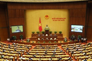 Trong phiên khai mạc, Quốc hội đã nghe các báo cáo kinh tế xã hội năm 2020 và dự kiến kế hoạch 5 năm tới. 
