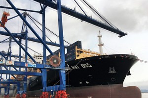 Cảng quốc tế Lạch Huyện đón tàu trên 10 vạn tấn vào ăn hàng đi bờ Tây nước Mỹ. Ảnh: Thanh Tân