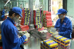 Hoạt động đóng gói tại cơ sở sản xuất của Pin Hà Nội