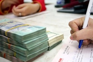 Tài chính tiêu dùng vẫn là miếng bánh ngon trong mắt nhiều nhà đầu tư.