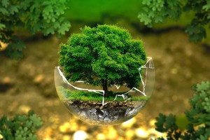 Rà soát dự thảo Chiến lược bảo vệ môi trường quốc gia