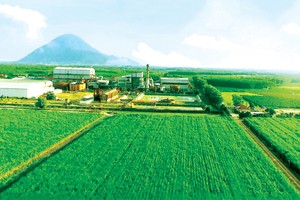 Dù ngành đường gặp rất nhiều khó khăn trong năm 2020, nhưng SBT vẫn có kết quả kinh doanh khả quan trong niên vụ 2019 - 2020 nhờ định hướng phát triển bền vững đề ra từ trước