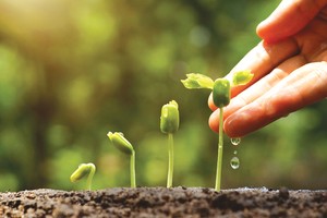 Ấn tượng Top 10 doanh nghiệp làm báo cáo phát triển bền vững tốt nhất