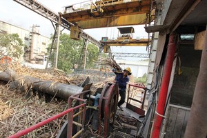 Do khó cạnh tranh trên thị trường, nhiều nhà máy mía đường đã phải giảm mạnh công suất, thậm chí đóng cửa. Ảnh: Đ.T