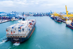 WTO: Thương mại thế giới phục hồi một phần