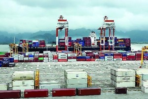 Tàu lớn vào làm hàng tại cảng container quốc tế Hải Phòng. Ảnh: Duy Thính (báo Hải Phòng).