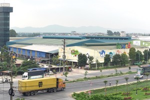 Chất lượng chuỗi cung ứng lạnh ở Việt Nam cần cải thiện nhiều hơn. Ảnh : Dũng Minh