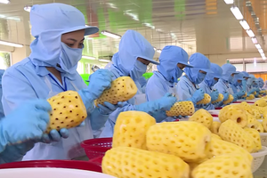 Doanh nghiệp xuất khẩu Việt Nam cần thực hiện nghiêm các quy định của Hàn Quốc về vệ sinh an toàn thực phẩm