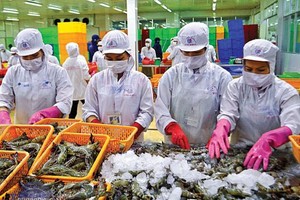 Anh một trong 10 thị trường nhập khẩu thủy sản lớn nhất của Việt Nam, thị phần thủy sản xuất khẩu của ta tại thị trường này năm 2020 đạt hơn 4% (năm 2015 đạt 1,03%).