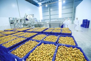 Dù chịu ảnh hưởng của dịch bệnh, nhưng đây là lúc để doanh nghiệp làm mới mình, tìm ra hướng đi phù hợp với nhu cầu thị trường