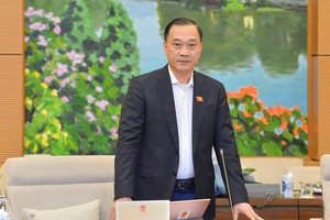 Chủ nhiệm Ủy ban Kinh tế Vũ Hồng Thanh trình bày báo cáo thẩm tra (Ảnh Quốc hội).