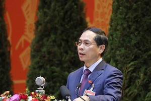 Thứ trưởng Thường trực Bộ Ngoại giao Bùi Thanh Sơn 