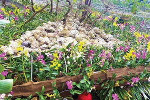 Dự kiến, Lễ hội sẽ thu hút khoảng 8 triệu lượt khách tham quan