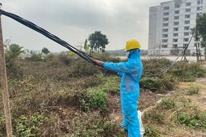 Xử lý sự cố điện khẩn cấp cũng phải tuân thủ các quy định phòng chống dịch