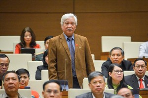 Đại biểu Dương Trung Quốc phát biểu tại Quốc hội.