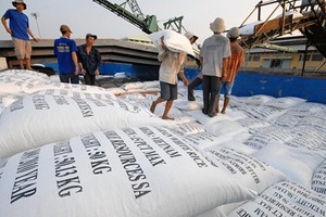 Giải mã đà tăng của giá gạo xuất khẩu