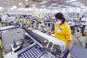 Công ty TNHH Nghiên cứu kỹ thuật R Việt Nam (vốn đầu tư Nhật Bản) tại tỉnh Hòa Bình. Ảnh: Đức Thanh