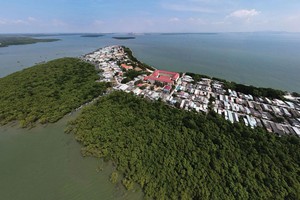 Cần Giờ có thể trở thành một đô thị biển tầm cỡ. Ảnh: Trọng Tín