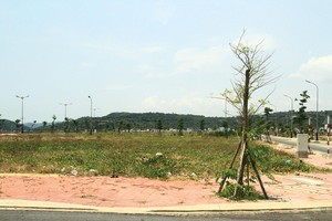Đất nền tỉnh lẻ đang được nhiều nhà đầu tư quan tâm. Ảnh: Thành Nguyễn