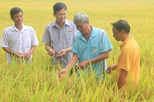 Nông dân tại An Giang trao đổi với "Lực lượng 3 cùng" của Lộc Trời (Ảnh: Hồng Phúc).