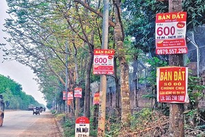 Những tấm biển rao bán đất mọc lên nhan nhản trong cơn sốt đất