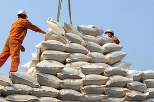 Bộ Nông nghiệp Mỹ dự báo Việt Nam sẽ tiếp tục đứng thứ 2 về xuất khẩu gạo trong năm 2021.